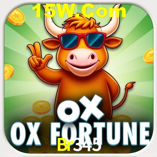 Descubra a Essência do Br345: Nossa História e Compromissos