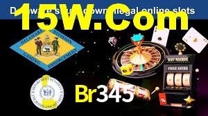 Programa VIP Br345